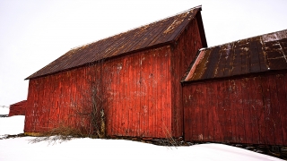 Another Red Barn